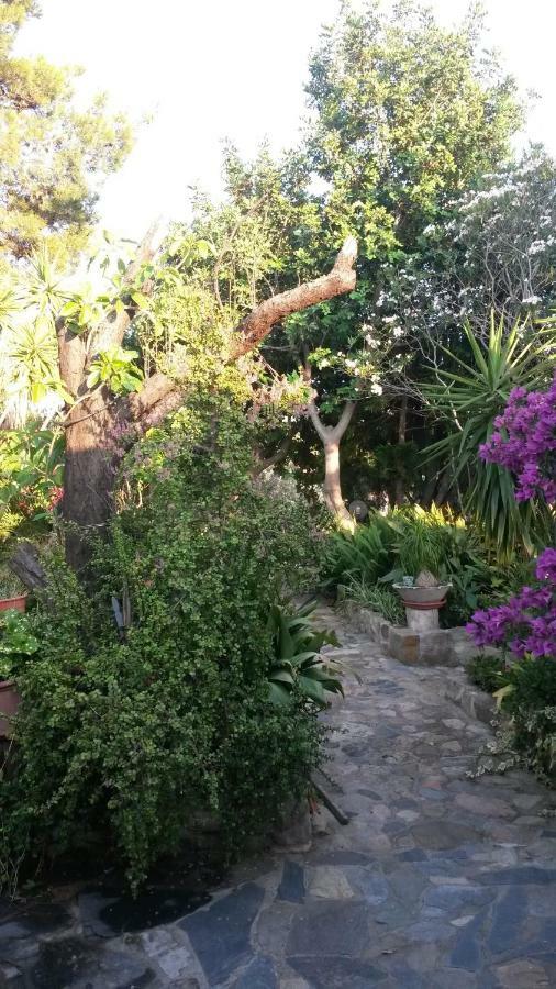 Agriturismo Camboni Villa Annunziata  ภายนอก รูปภาพ