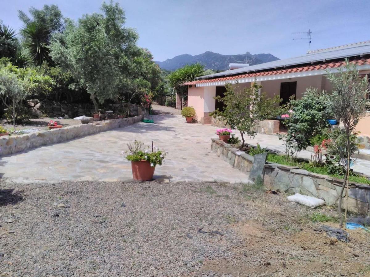Agriturismo Camboni Villa Annunziata  ภายนอก รูปภาพ